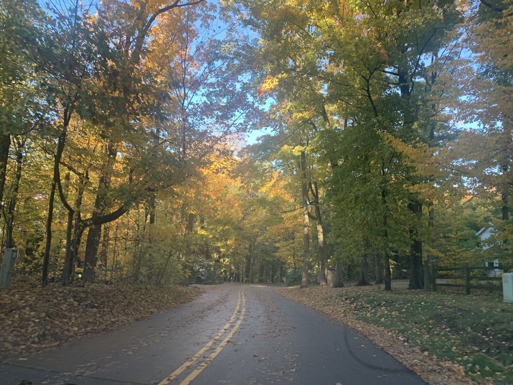 Snake Road fall colors